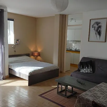 Aux Plaisirs Du Conflent - Spacieux T1 En Rdc Avec Balcon - Equipement Classe 3 Etoiles - Appartement *